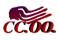 www.ccoo.es